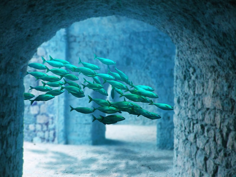 Lost City of Atlantis